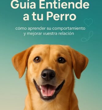 Entiende a tu perro