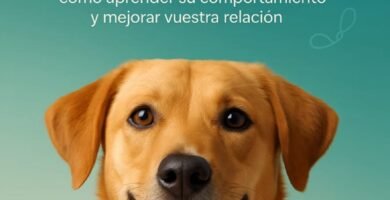 Entiende a tu perro
